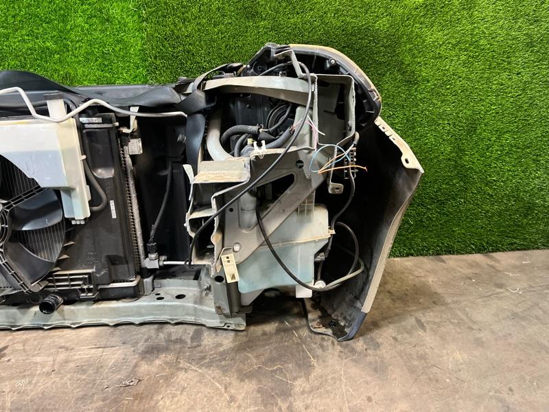 Ноускат — фото 10