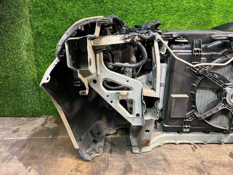 Ноускат — фото 11