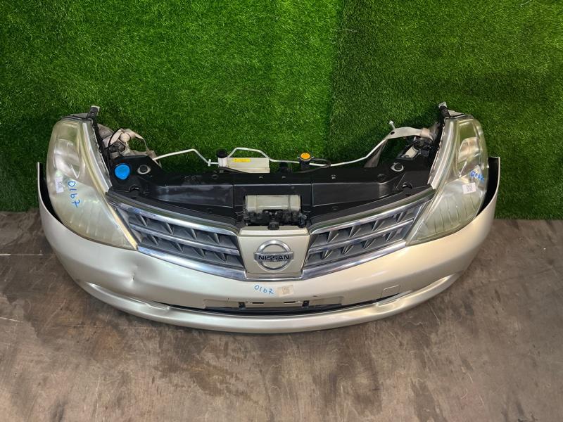 Ноускат — фото 5