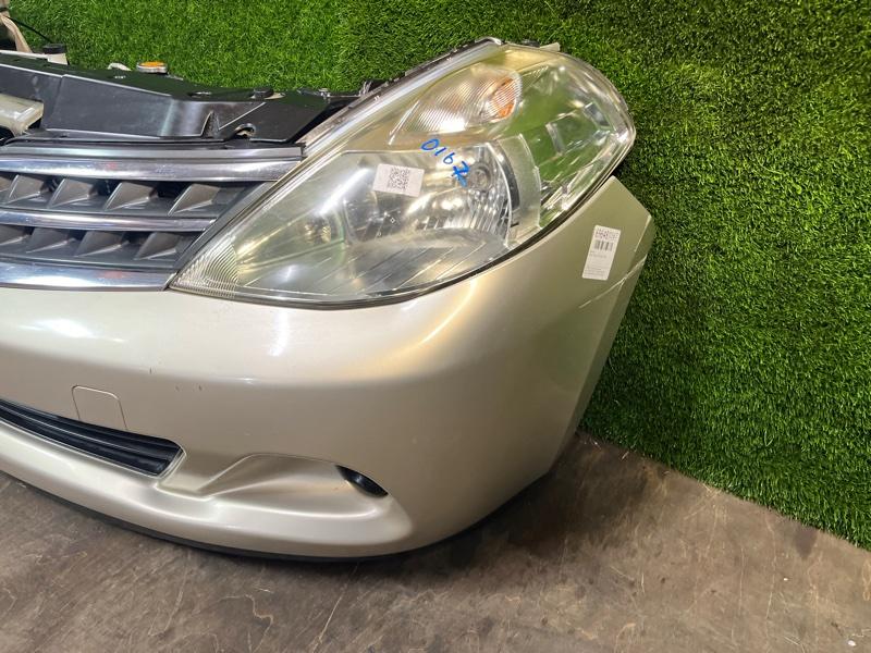 Ноускат — фото 7