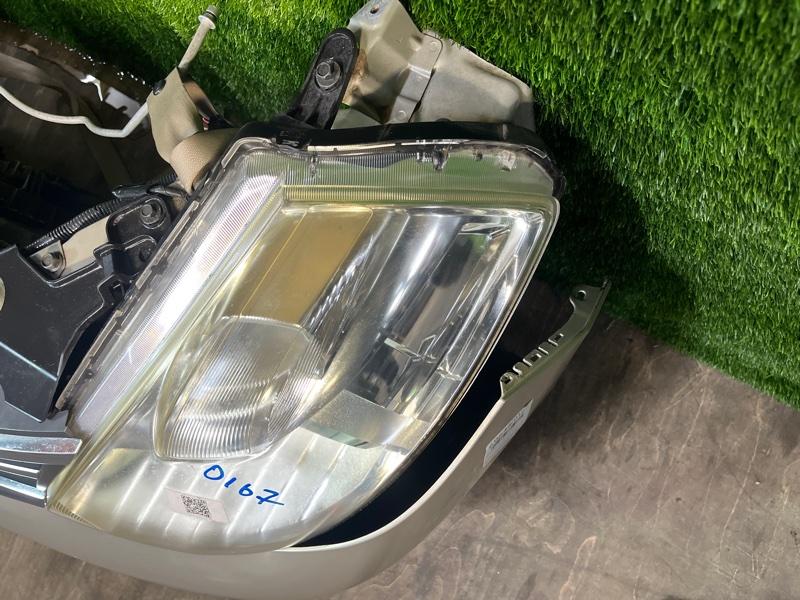 Ноускат — фото 8