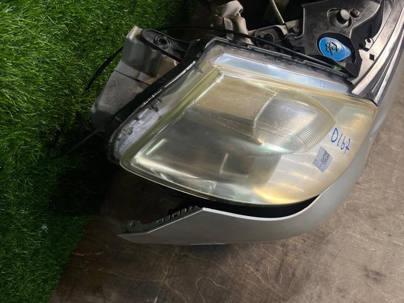 Ноускат — фото 9