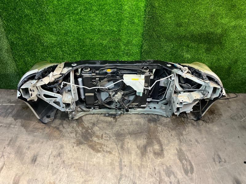 Ноускат — фото 10