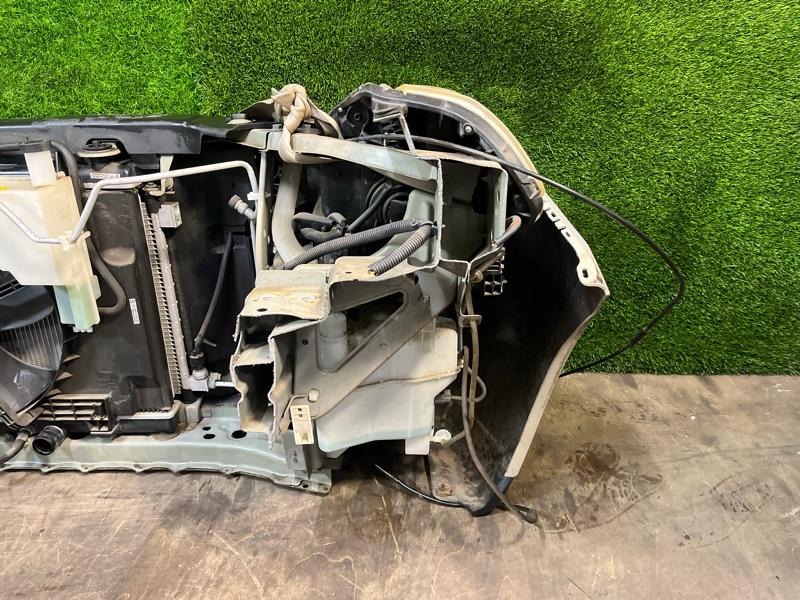 Ноускат — фото 12