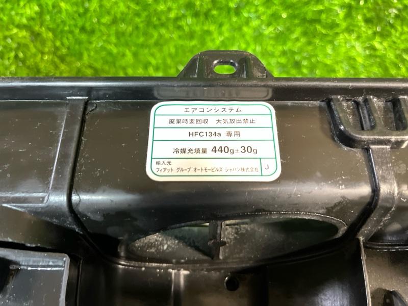 Ноускат — фото 2