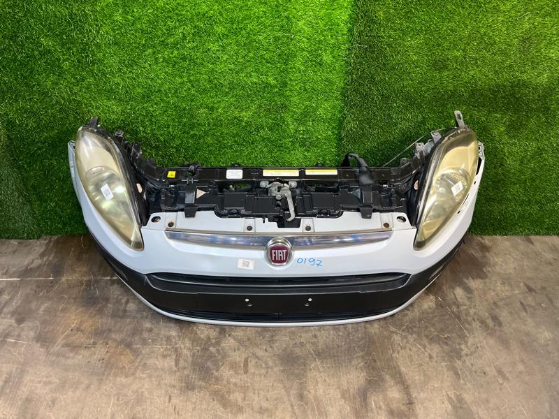 Ноускат — фото 3