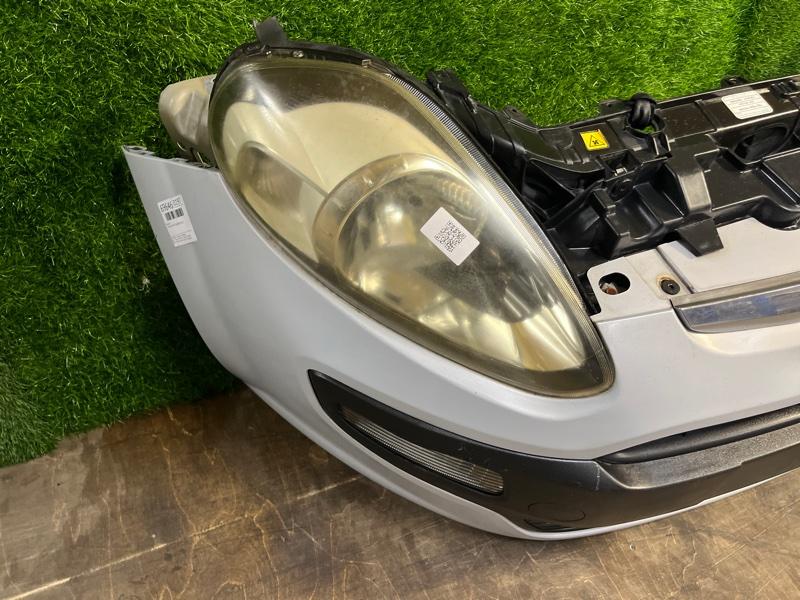 Ноускат — фото 4