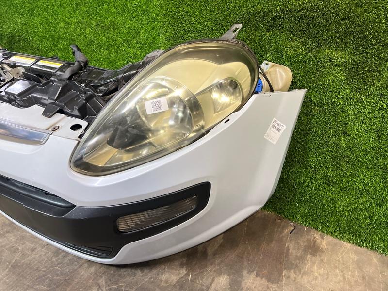 Ноускат — фото 5