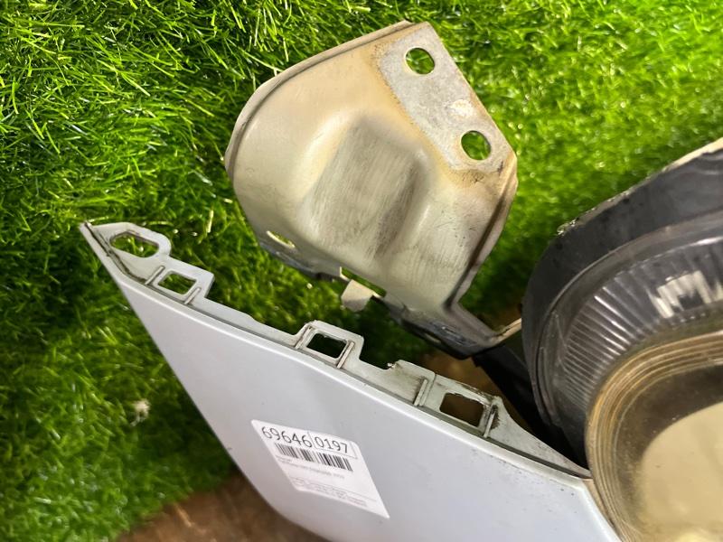 Ноускат — фото 6