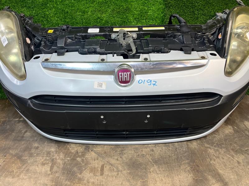 Ноускат — фото 7