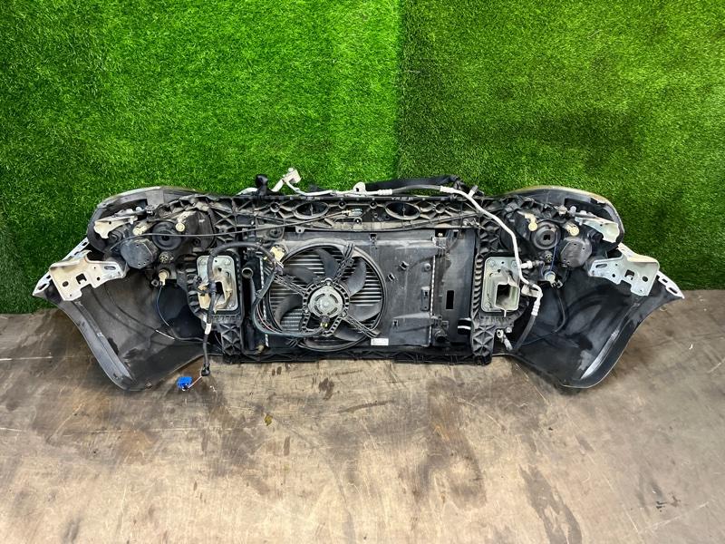 Ноускат — фото 10