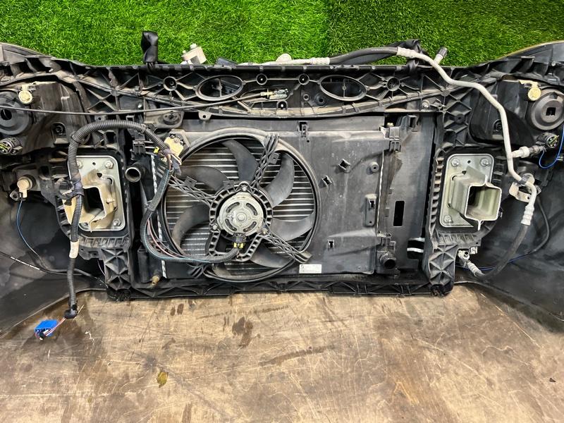 Ноускат — фото 12