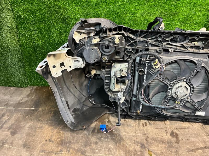 Ноускат — фото 13