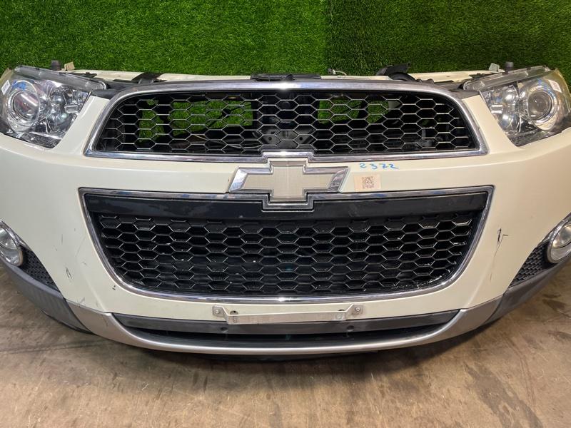 Ноускат — фото 4