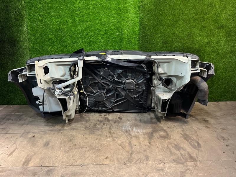 Ноускат — фото 9