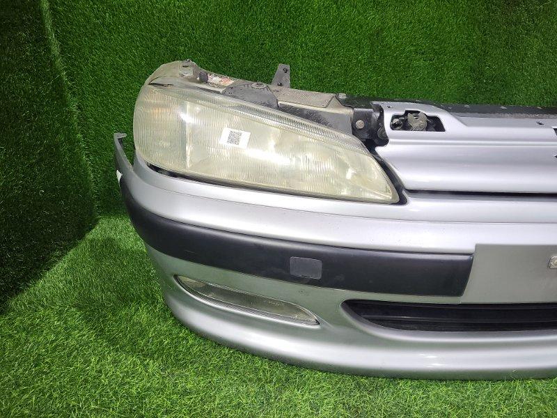 Ноускат — фото 3