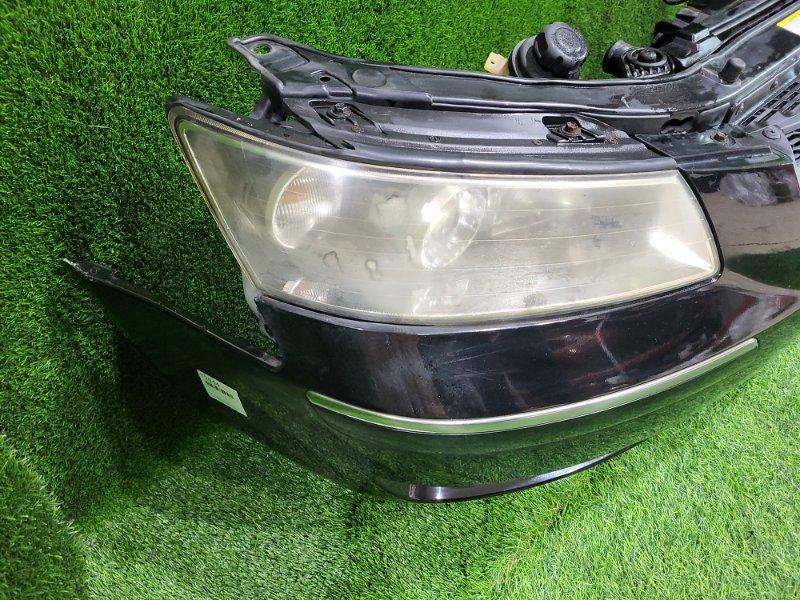 Ноускат — фото 4