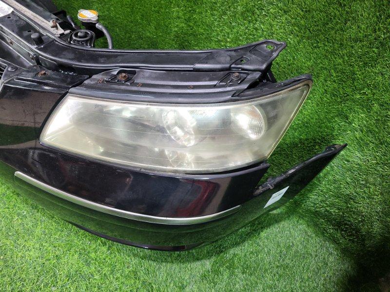 Ноускат — фото 6