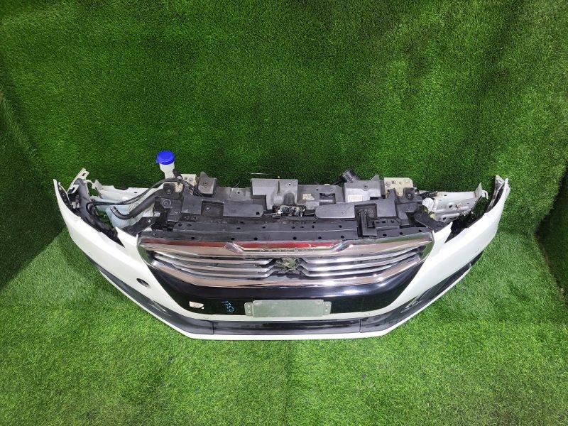 Ноускат — фото 2