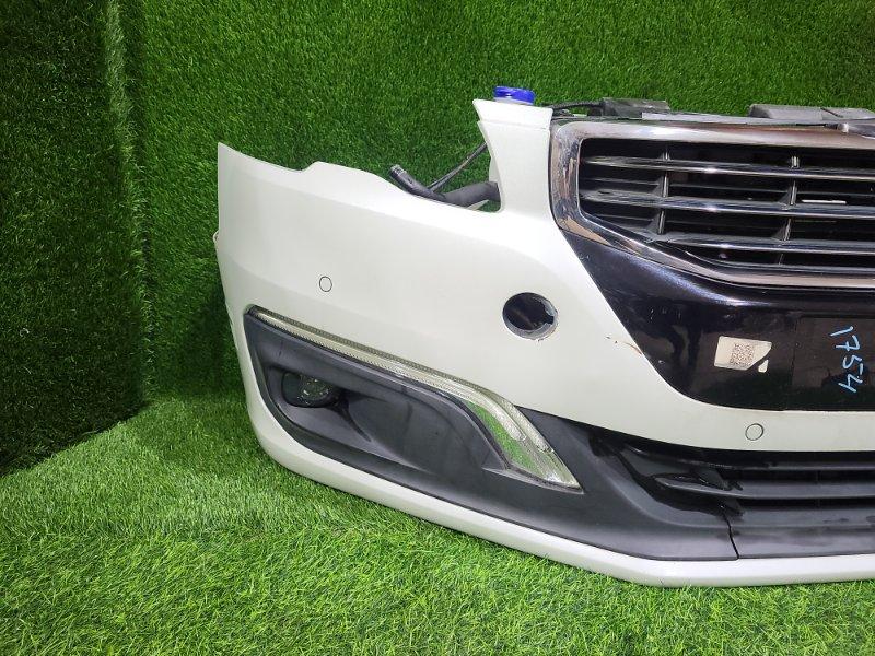 Ноускат — фото 3