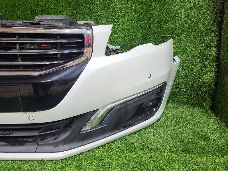 Ноускат — фото 5