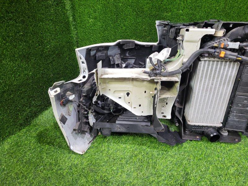 Ноускат — фото 10