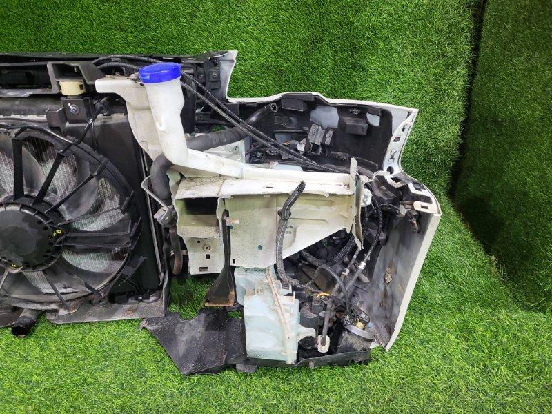 Ноускат — фото 11