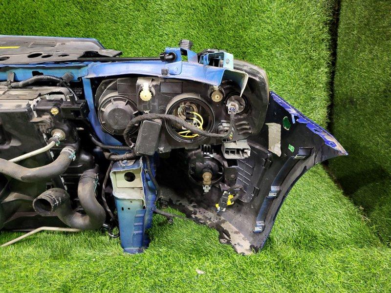 Ноускат — фото 11