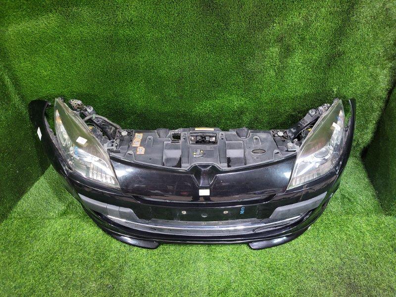 Ноускат — фото 2