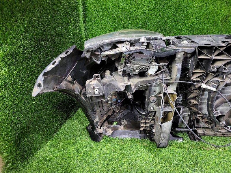 Ноускат — фото 10