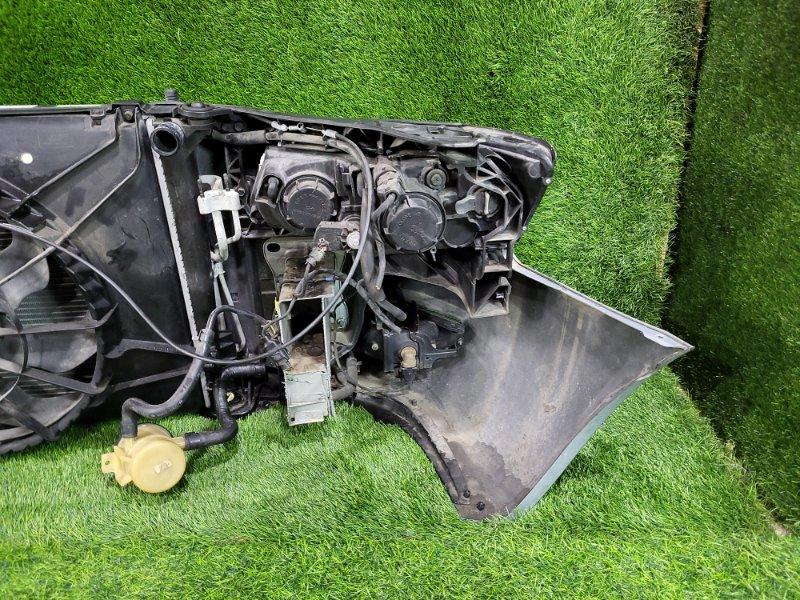 Ноускат — фото 11