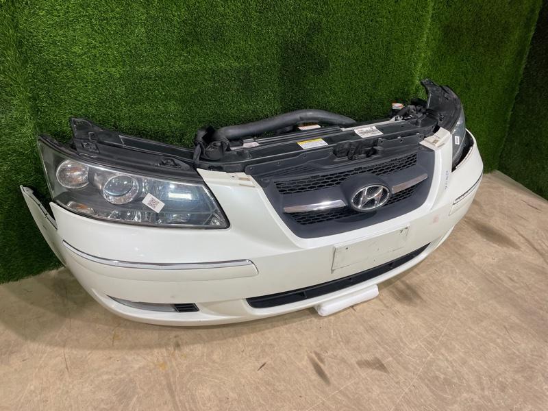 Ноускат — фото 2