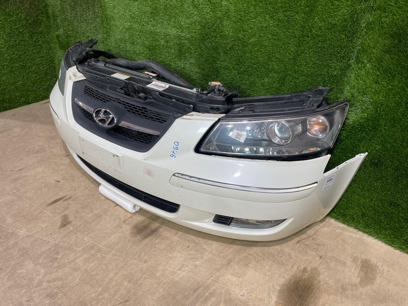 Ноускат — фото 3