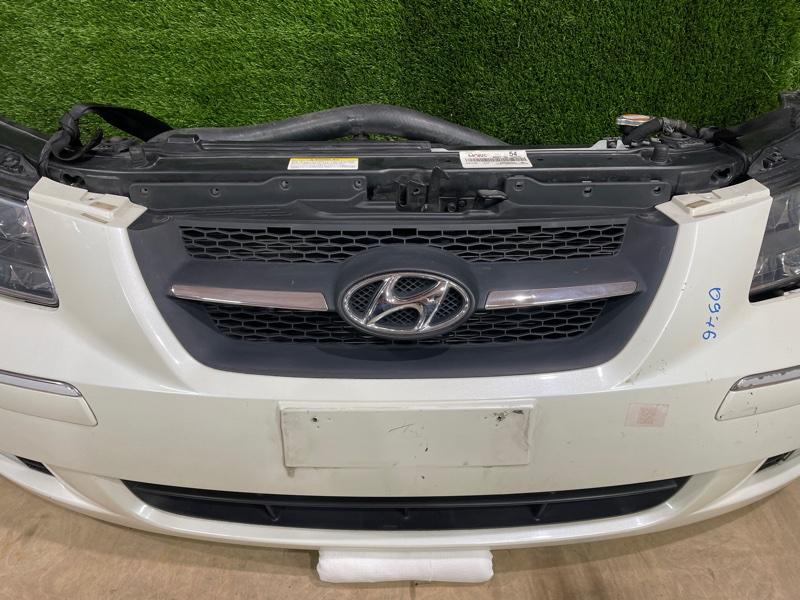 Ноускат — фото 6