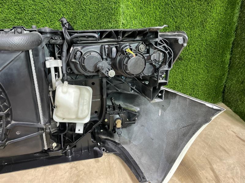 Ноускат — фото 13