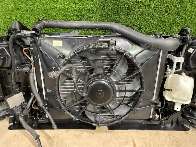 Ноускат — фото 14