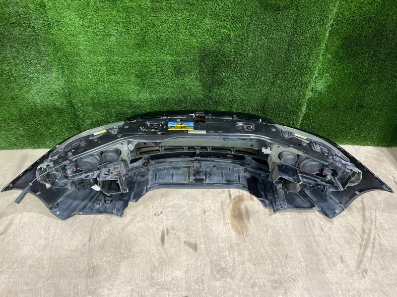 Ноускат — фото 9