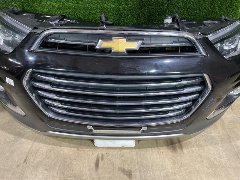 Ноускат — фото 6