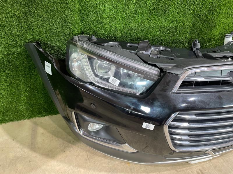 Ноускат — фото 7