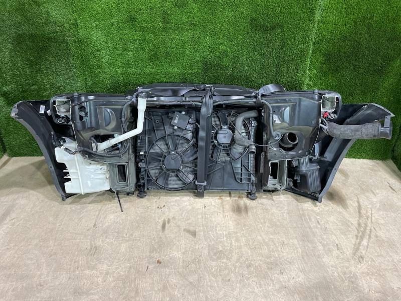 Ноускат — фото 9