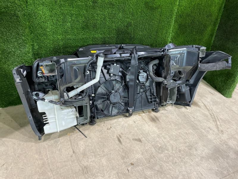 Ноускат — фото 10