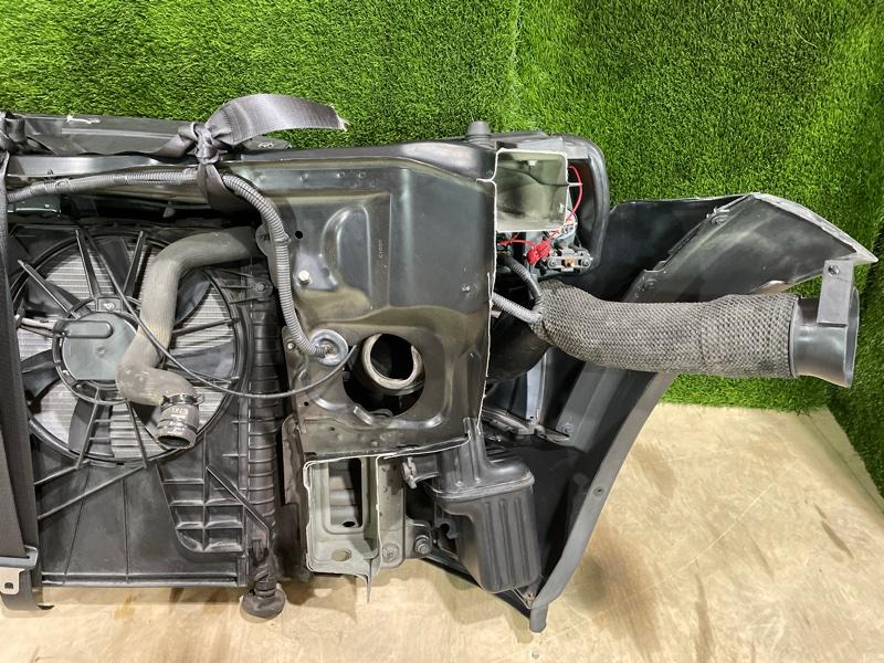 Ноускат — фото 12