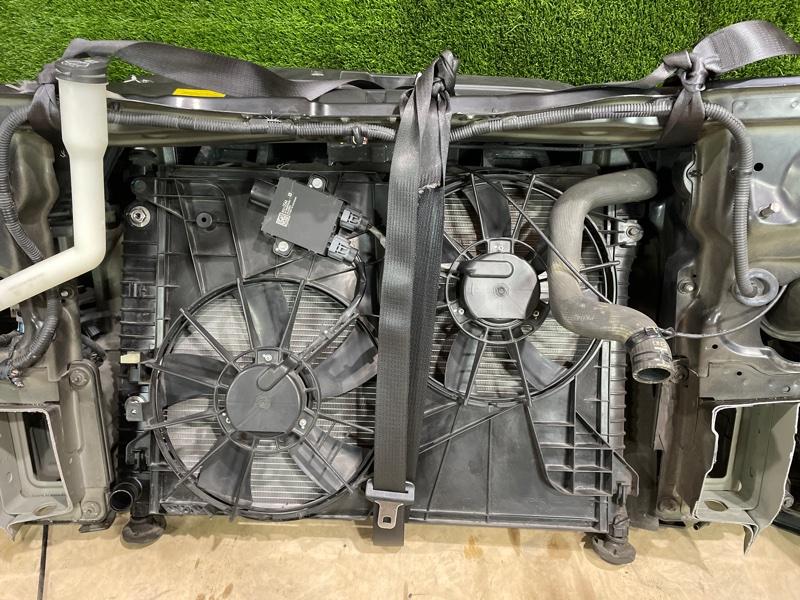 Ноускат — фото 13