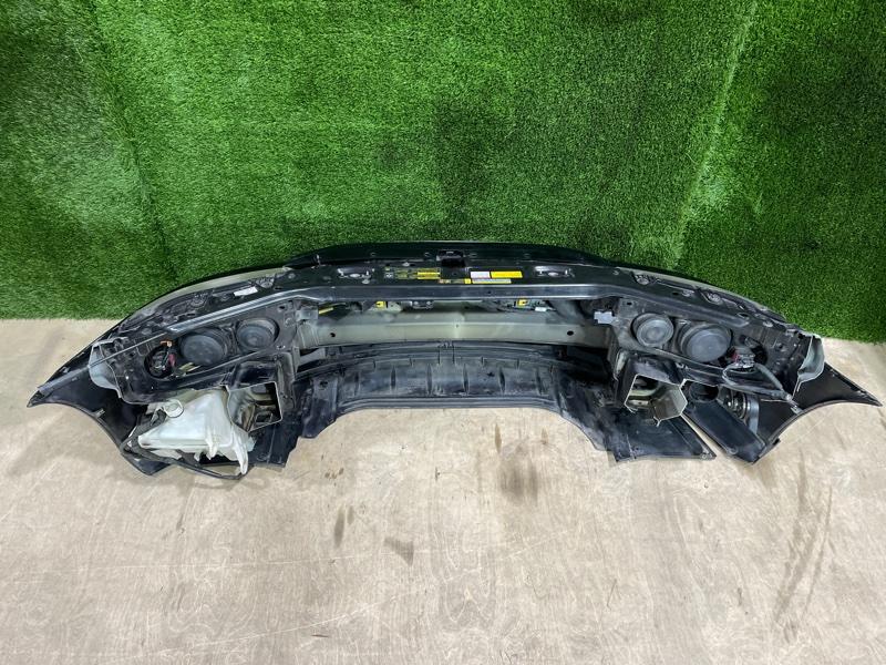 Ноускат — фото 9