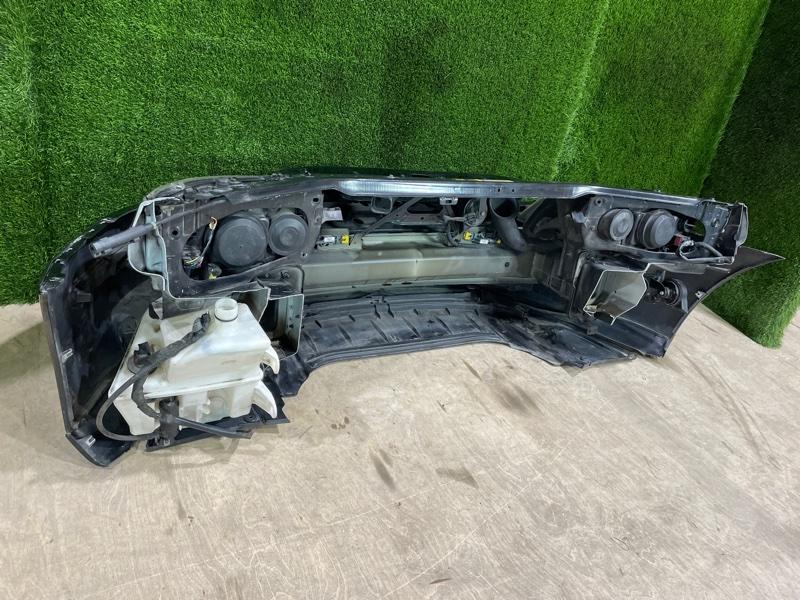 Ноускат — фото 10