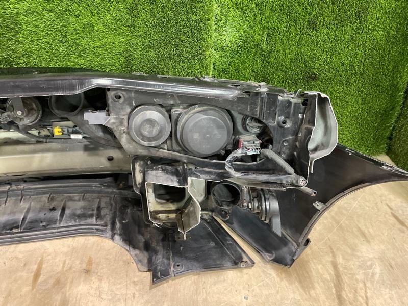 Ноускат — фото 12