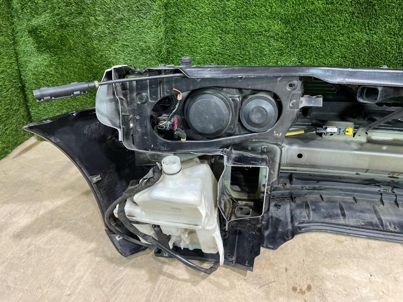 Ноускат — фото 14