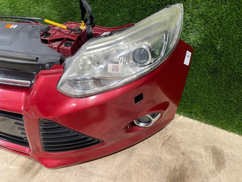 Ноускат — фото 5