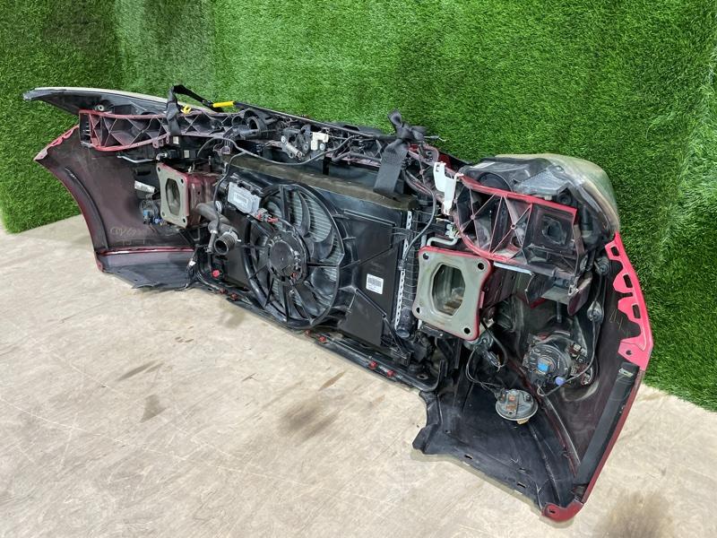 Ноускат — фото 10