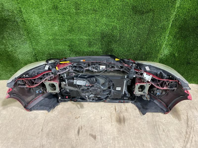 Ноускат — фото 11